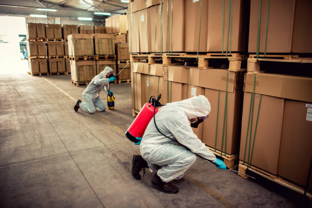 Best Best Pest Control Companies  in Palm Springs North, FL