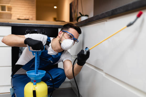Best Residential Pest Control  in Palm Springs North, FL