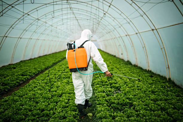 Best Affordable Pest Control Services  in Palm Springs North, FL
