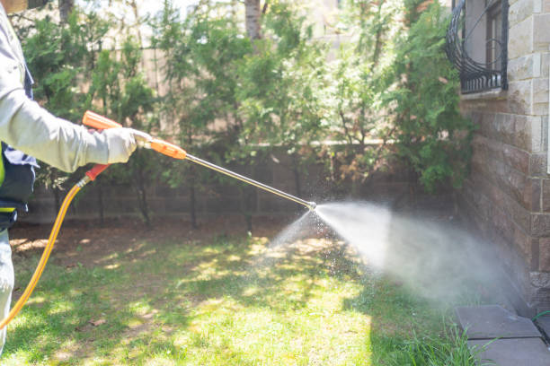 Best Pest Prevention Services  in Palm Springs North, FL