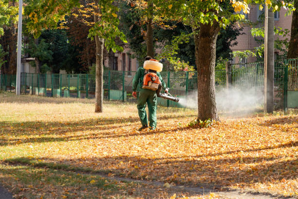 Reliable Palm Springs North, FL Pest Control Solutions