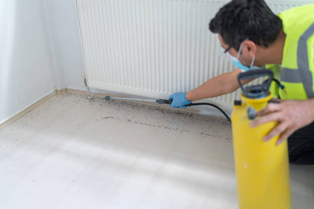 Wasp Removal Services in Palm Springs North, FL